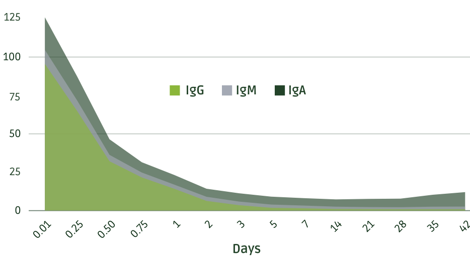 Colostrum the sooner the better