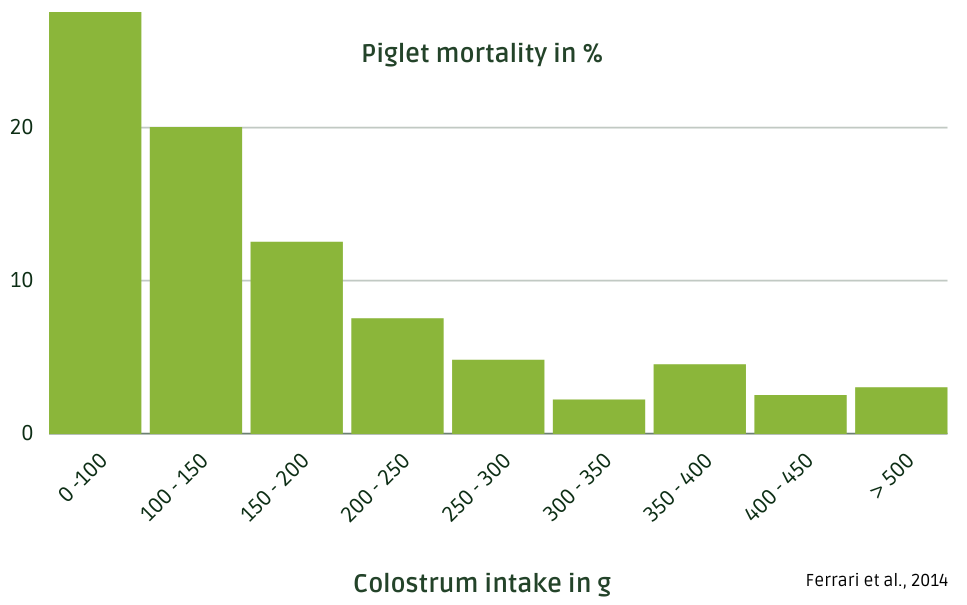 Diagram Piglet mortality