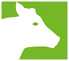 Bewital agri Farm Bereich Icon Kuh / Kühe