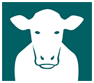 Bewital agri Feed Bereich Icon Kuh