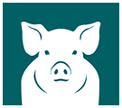 Bewital agri Feed Bereich Icon Schwein