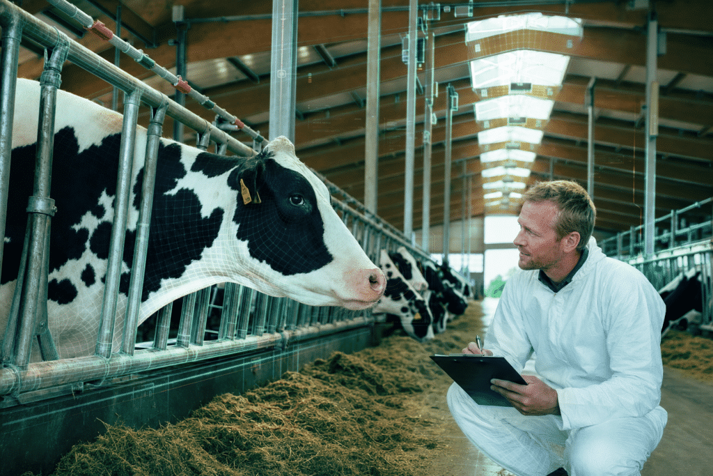 Bewital agri Feed Specialities Wissenschafter im Kuhstall